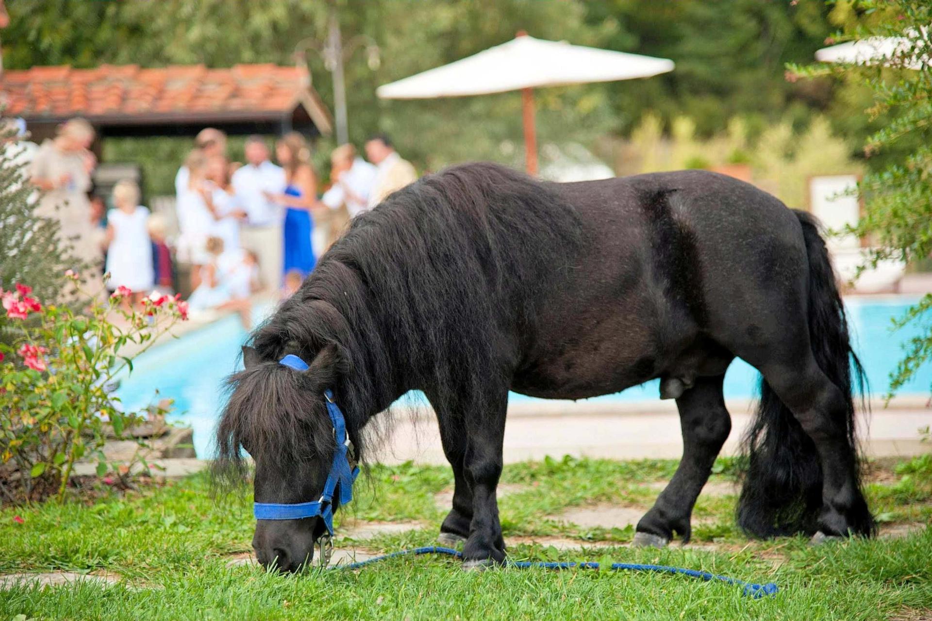 Gemütliches Agriturismo im Osten der Toskana