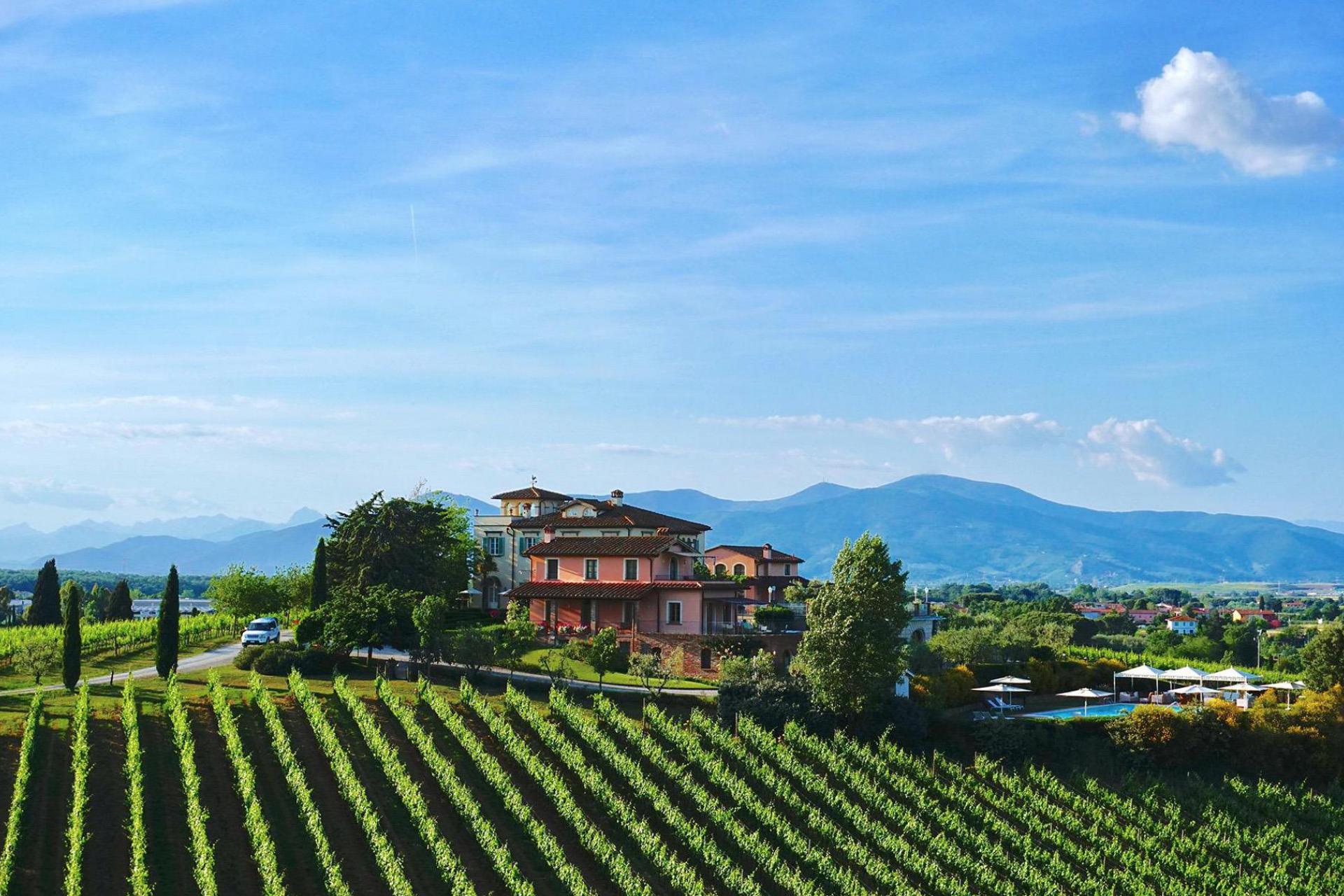 Renommiertes Weingut in der Nähe von Pisa