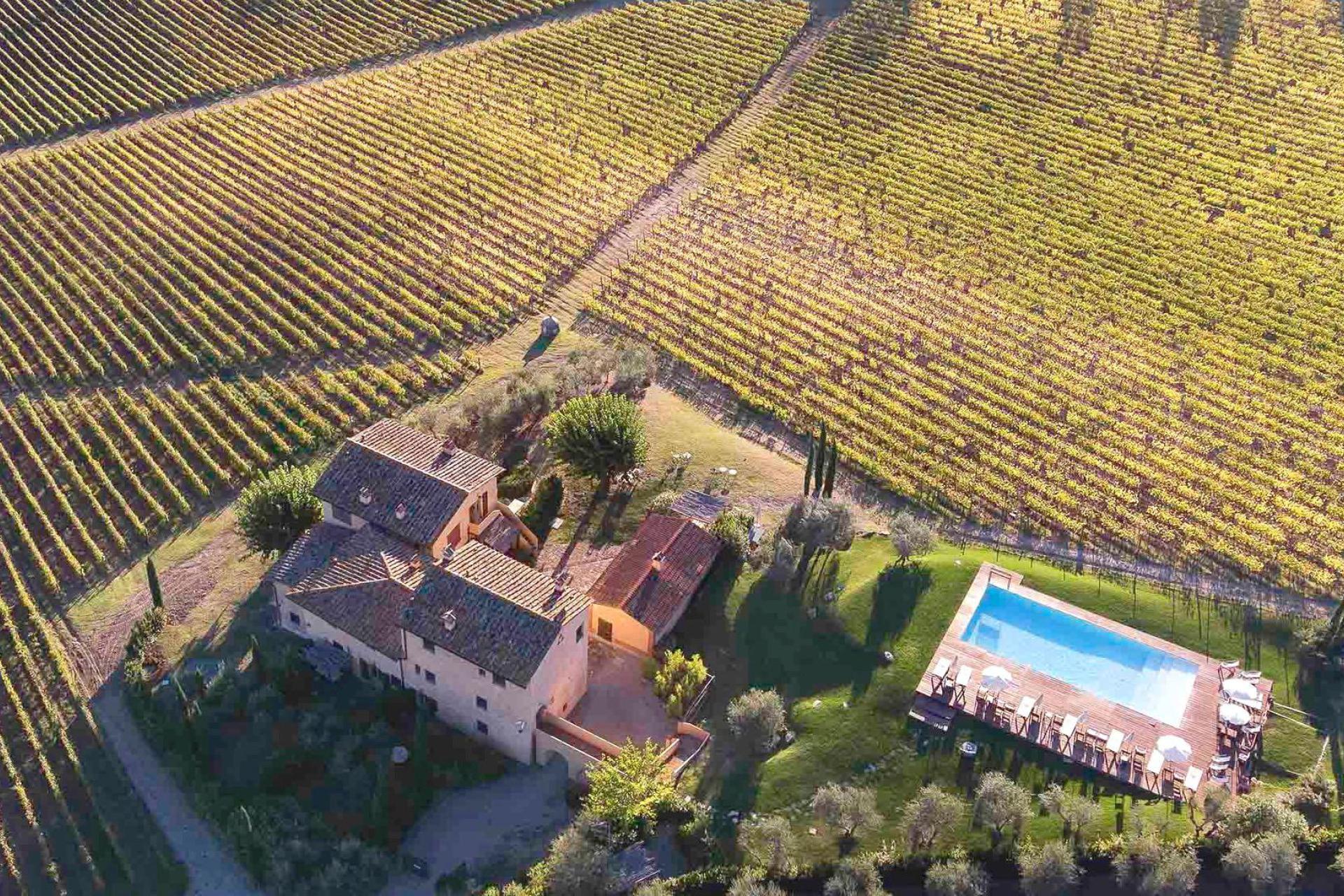 Gemütliche Weinfarm in der Nähe von Florenz