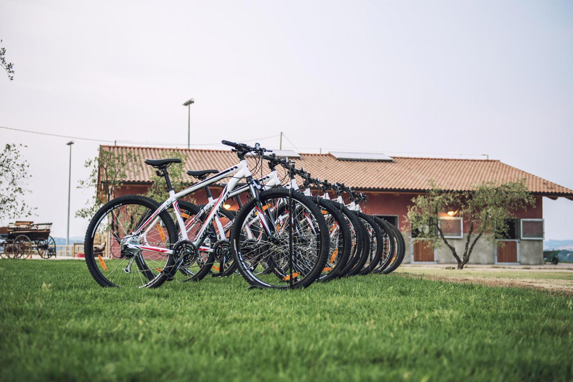 Toskanischer Agriturismo für Radsportbegeisterte