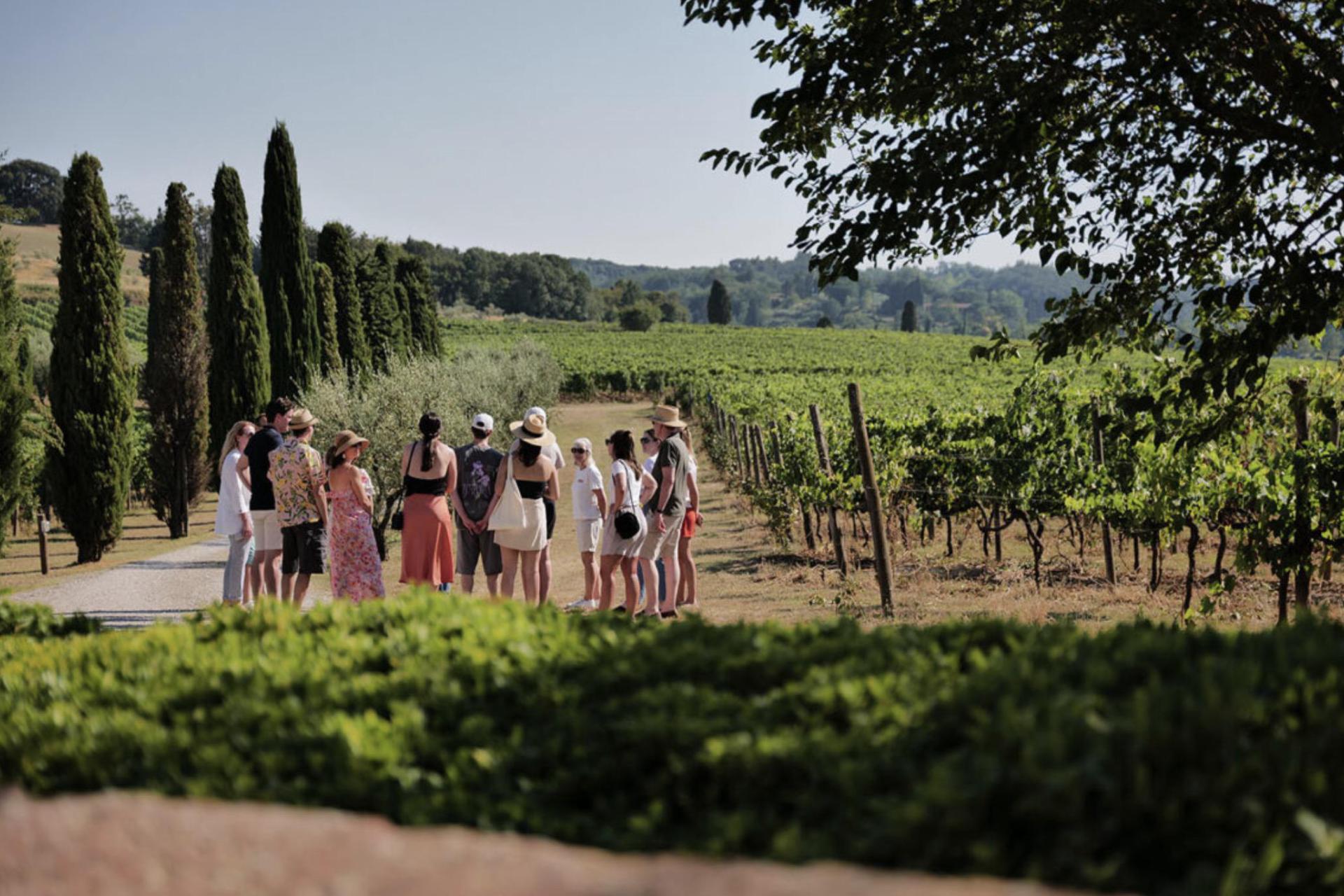 Weingut und Luxus Agriturismo Nähe von Pisa, 9 FeWo und ein kleines Ferienhaus